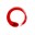 Ninja Reptiles logo